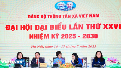 Đại hội đại biểu Đảng bộ Thông tấn xã Việt Nam ra mắt Ban thường vụ nhiệm kỳ mới