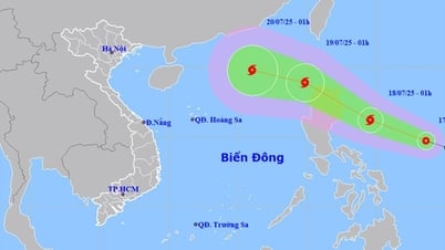 Dự báo thời tiết 10 ngày tới: Miền Bắc mưa xối xả từ cuối tuần