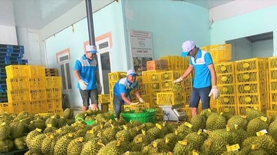 Tổng cục Hải quan Trung Quốc đánh giá cao chất lượng sầu riêng Lâm Đồng