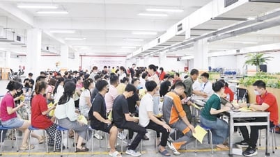 Dòng máu sẻ chia, nối dài sự sống
