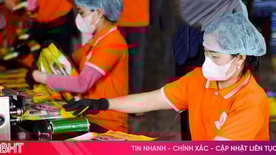Vì sao sản phẩm OCOP Hà Tĩnh vẫn khó vào hệ thống bán lẻ hiện đại?