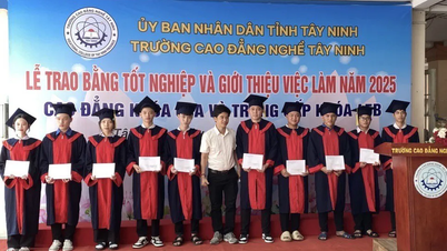 Nhiều chính sách hỗ trợ người lao động làm việc ở nước ngoài