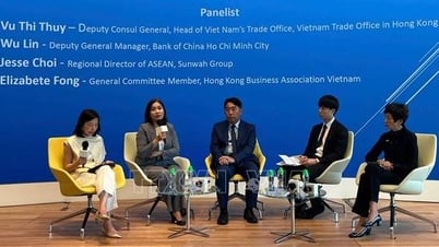 Việt Nam - Động lực tăng trưởng tiếp theo trong ASEAN
