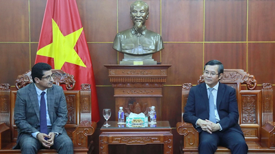 Khơi mở dư địa hợp tác giáo dục giữa Việt Nam và Yemen