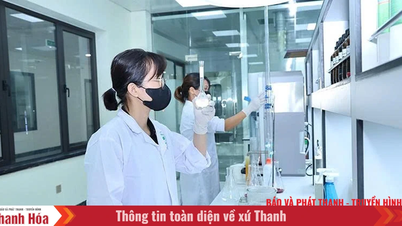 “Nền móng mềm” của năng lực cạnh tranh