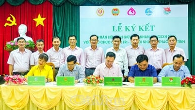 Provincial Social Policy Bank signed a cooperation agreement with associations and unions.