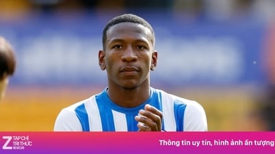 MU muốn mua Estupinan