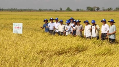 Landwirtschaftliche Beratung ebnet den Weg für eine Transformation des Produktionsdenkens