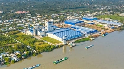 Thành lập Ban Quản lý Khu kinh tế tỉnh Đồng Tháp