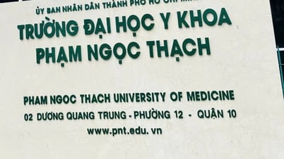 Thí sinh trúng tuyển thẳng Trường ĐH Y khoa Phạm Ngọc Thạch chủ yếu ngành y khoa