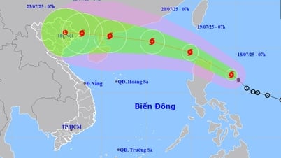 Bão Wipha liên tục mạnh thêm, khả năng ảnh hưởng trực tiếp đến đất liền, trong đó có Hải Phòng
