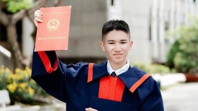 Nam sinh ở tỉnh lớn nhất Việt Nam là thủ khoa toàn quốc khối D07