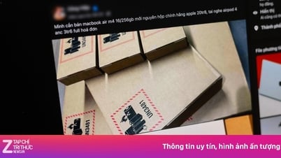 Nguồn gốc MacBook, iPad giá rẻ đầy rẫy trên chợ mạng