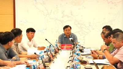 Trung ương chỉ đạo chủ động ứng phó bão Wipha từ sớm, từ xa