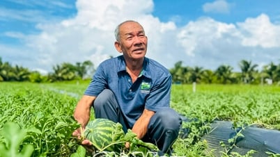 Mô hình tiền triệu giữa lòng đô thị hóa