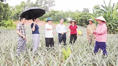 Lợi ích từ cung ứng phân bón trả chậm