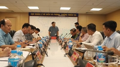 Chủ động tâm thế ứng phó một cơn bão mạnh, có khả năng ảnh hưởng Bắc Bộ