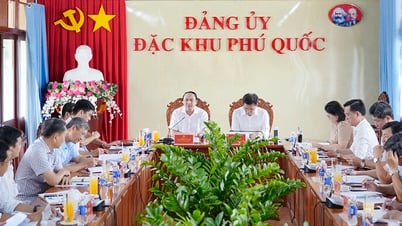 Đặc khu Phú Quốc chủ động, trách nhiệm trong triển khai nhiệm vụ từ ngày 1/7 đến nay