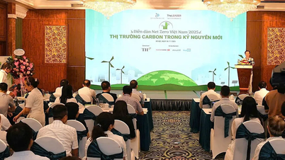 Cần nền tảng kỹ thuật và pháp lý đồng bộ trong phát triển thị trường carbon