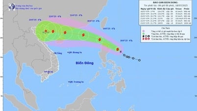 Ảnh hưởng bão WIPHA: Vĩnh Long chiều mưa, có nơi có dông