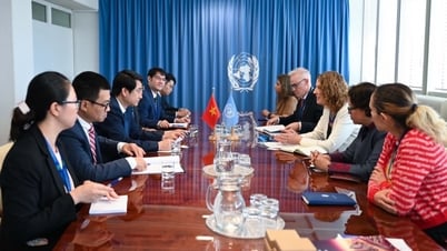 Việt Nam nâng tầm hợp tác với các cơ quan Liên hợp quốc và thúc đẩy các sáng kiến đa phương tại Vienna