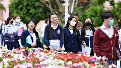 Học sinh Lâm Đồng thủ khoa toàn quốc khối D07