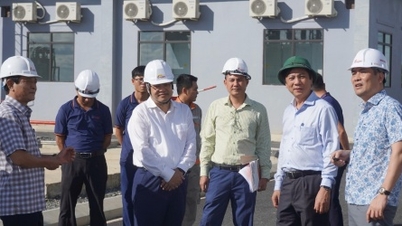 Nhà máy điện gió Hải Anh, Quảng Trị sẽ khánh thành vào ngày 19/8/2025