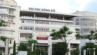 Điểm chuẩn Trường Đại học Đông Đô 2025