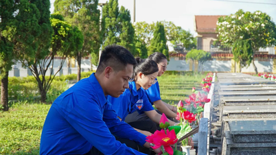 Da Nang : les membres de l'Union de la jeunesse remplacent près de 24 000 fleurs dans 27 cimetières de martyrs