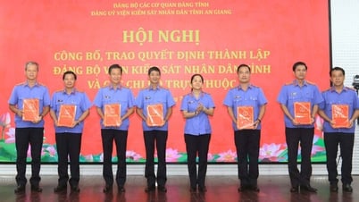 Đảng bộ Viện Kiểm sát nhân dân tỉnh công bố và trao quyết định thành lập các chi bộ trực thuộc