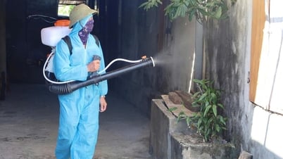 Điểm dịch sốt xuất huyết đầu tiên tại Hà Tĩnh