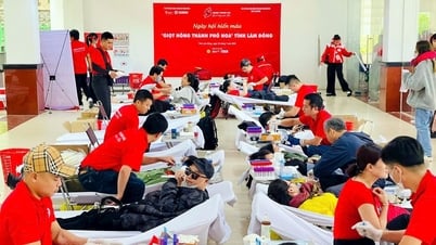 Lâm Đồng: Nguồn máu tình nguyện Hành trình đỏ giảm mạnh