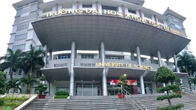 Điểm chuẩn Trường Đại học Khoa học Tự nhiên TP.HCM 2025