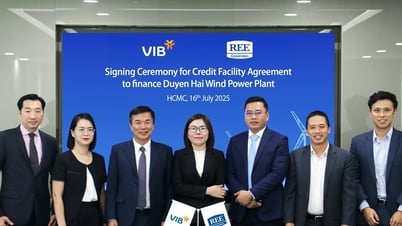 VIB cấp vốn tín dụng 1.640 tỷ đồng cho dự án điện gió của REE