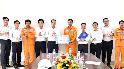 Bảo đảm cung cấp điện phục vụ phát triển đặc khu Cồn Cỏ