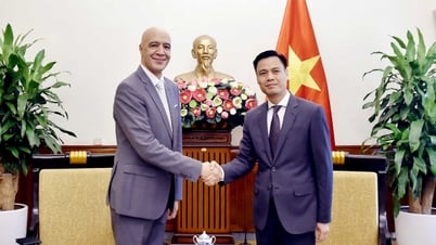 Thứ trưởng Đặng Hoàng Giang làm việc với Đại sứ các nước Cộng đồng Pháp ngữ