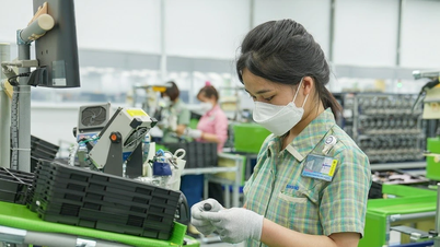 Ngăn mượn danh "Made in Việt Nam" để trung chuyển hàng hóa bất hợp pháp
