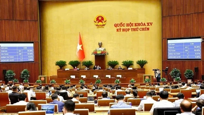 Miễn, hỗ trợ học phí: Một chính sách nhân văn, hợp lòng người