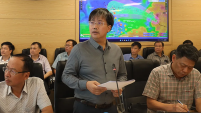 TS Mai Văn Khiêm: Bão Wipha có điểm tương đồng bão Yagi