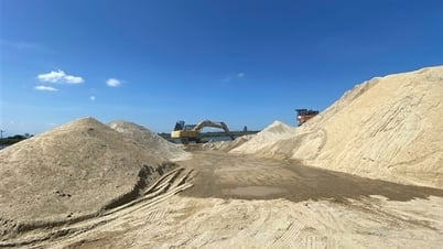 Đà Nẵng cảnh báo “cát tặc” nhân danh… doanh nghiệp