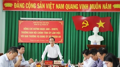 Trưởng Ban Nội chính Tỉnh ủy Lâm Đồng kiểm tra tại xã biên giới Thuận An
