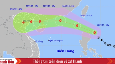 Bão Wipha có thể mạnh lên cấp 12 và ảnh hưởng trực tiếp đến miền Bắc từ ngày 22/7