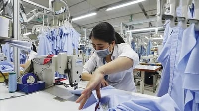 Hơn 30% doanh nghiệp xuất khẩu dự báo tăng đơn hàng