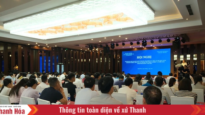 Đào tạo kỹ năng thương mại điện tử cho cán bộ nhà nước, doanh nghiệp, thanh niên khởi nghiệp