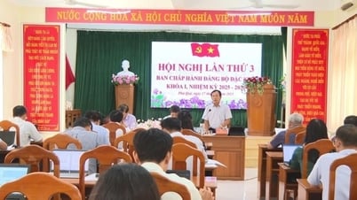 Đặc khu Phú Quý sẵn sàng cho Đại hội Đảng bộ lần thứ I