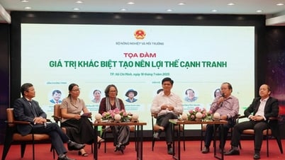 Sau sầu riêng, đâu là loại trái cây tỉ đô mới của Việt Nam?