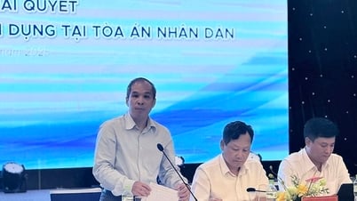 Các ngân hàng phối hợp chặt chẽ với Tòa án gỡ vướng xử lý nợ xấu