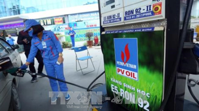 PVOIL sẽ bán thí điểm xăng sinh học E10 từ tháng 9/2025