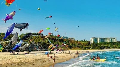 Tourisme maritime de Lam Dong : une approche innovante de New Land