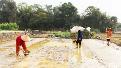Giữ đất, giữ nghề từ một chính sách đúng